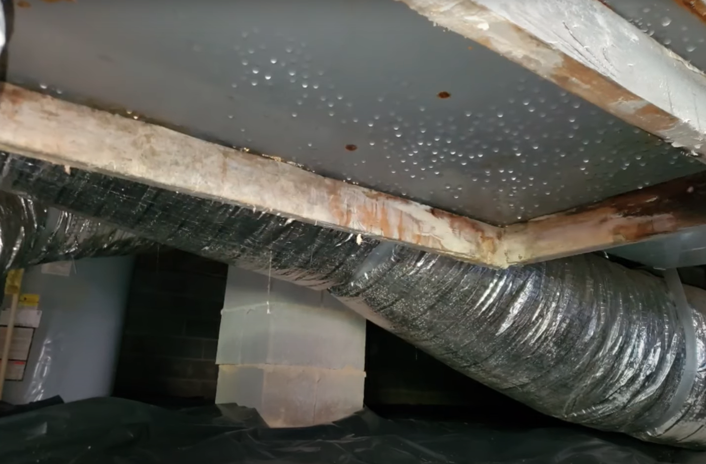Mold growth on wooden floor joists inside an unsealed crawl space